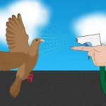 home remedies to get rid of pigeons