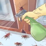 how to get rid of cockroaches
