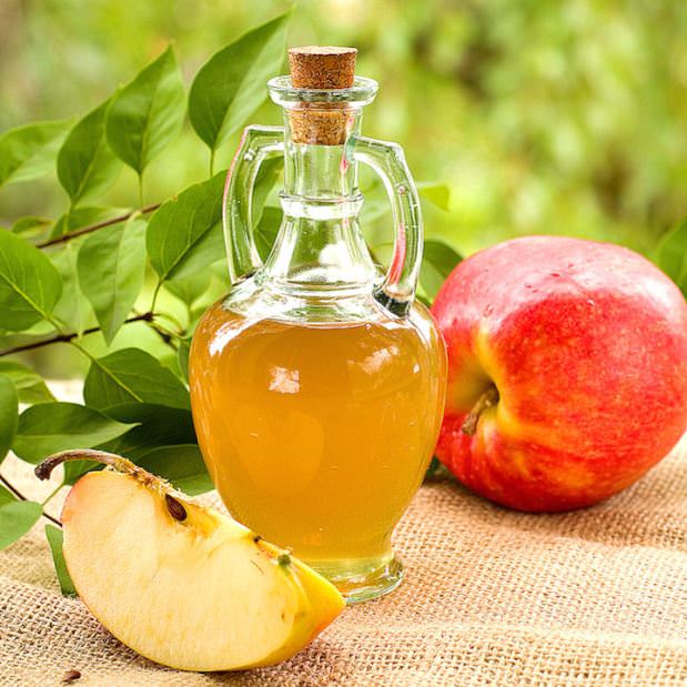 Apple Cider Vinegar Diet