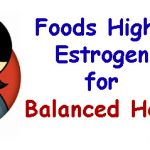 Foods High in Estrogen for Balanced Hormones