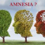 Home Remedies for Amnesia Treatment