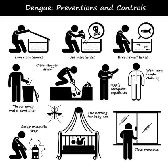 Home Remedies for Dengue Fever Treatment