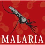 Home Remedies to Treat Malaria