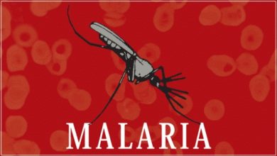 Home Remedies To Treat Malaria Naturally At Home