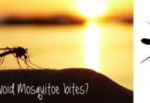 How to Avoid Mosquito Bites
