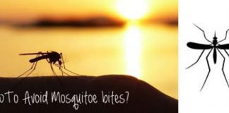 How to Avoid Mosquito Bites