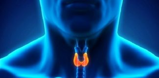 How to Heal Thyroid Naturally