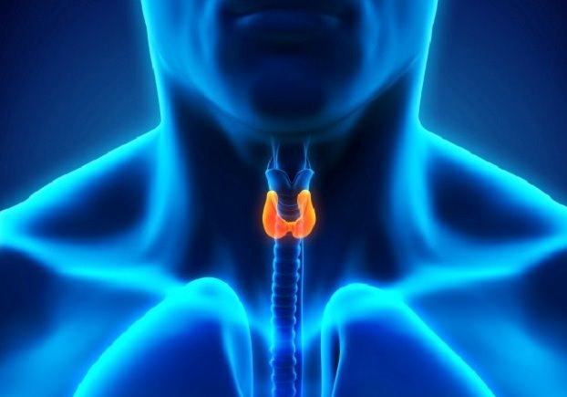 How to Heal Thyroid Naturally