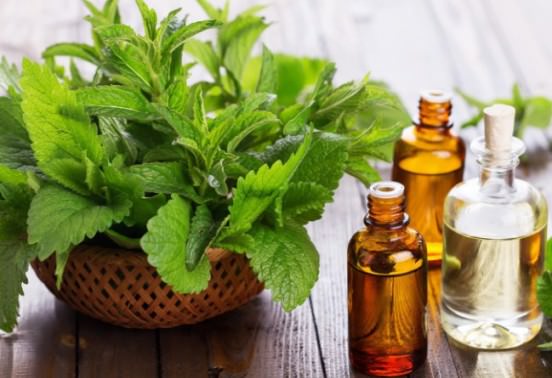 Peppermint Oil Uses
