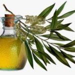 Tea tree oil for hair