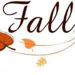 How to Reduce Hair Loss?