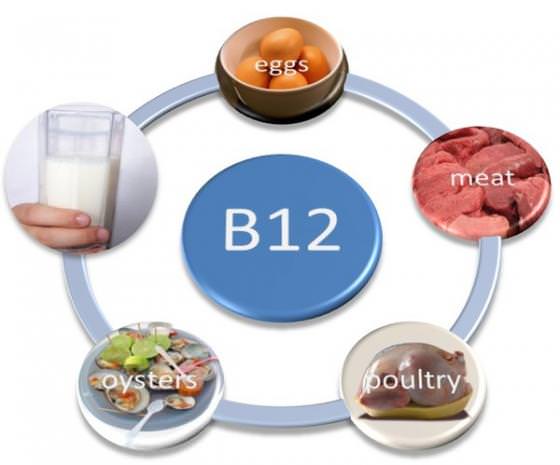 foods high in vitamin B12