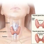 home remedies for thyroid