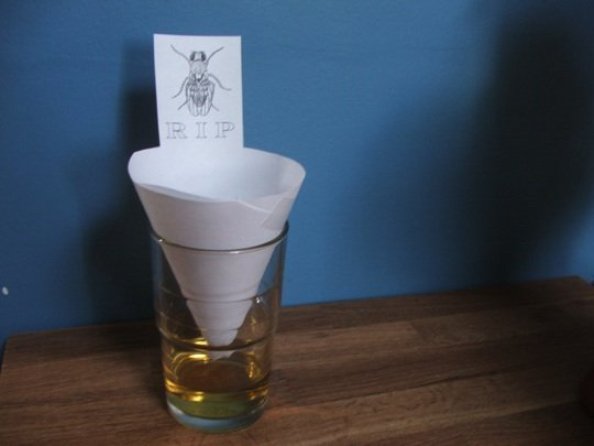 how to get rid of fruit flies fast and naturally