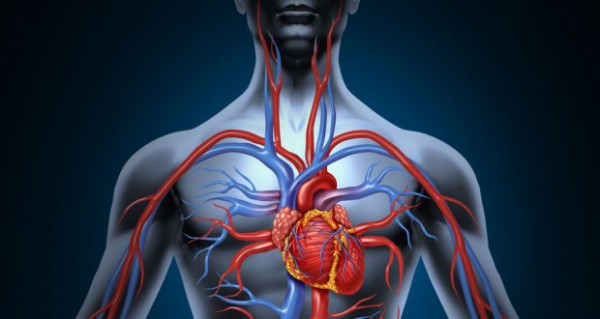 how to improve blood circulation