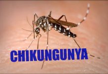 how to recover from chikungunya