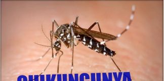 how to recover from chikungunya