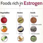 Foods High in Estrogen for Balanced Hormones