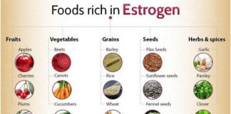 Foods High in Estrogen for Balanced Hormones