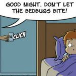 how to get rid of bed bugs fast and naturally