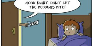 how to get rid of bed bugs fast and naturally