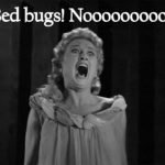 how to get rid of bed bugs at home