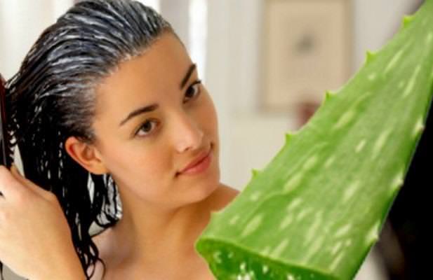 Aloe Vera Gel for Hair Growth