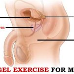 Kegel Exercise for Men