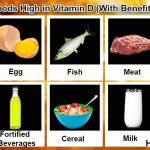 foods high in vitamin D (with benefits)