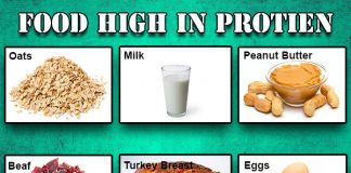 foods high in protein