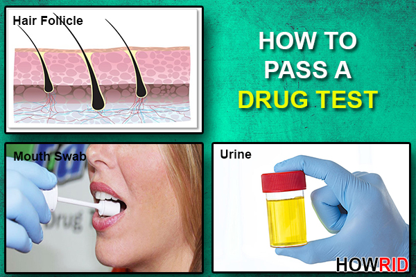 pass a drug test of different types