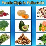 top foods high in folic acid